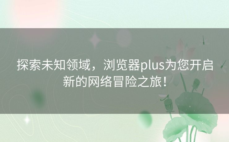 探索未知领域，浏览器plus为您开启新的网络冒险之旅！