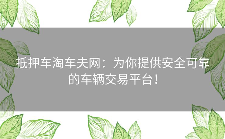 抵押车淘车夫网：为你提供安全可靠的车辆交易平台！